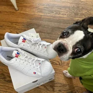 Adidas Originals Superstar Pure