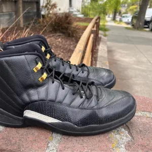 Air Jordan Retro The Master