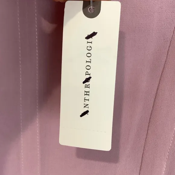 Anthropologie Modern Sheer Midi Dress NWT