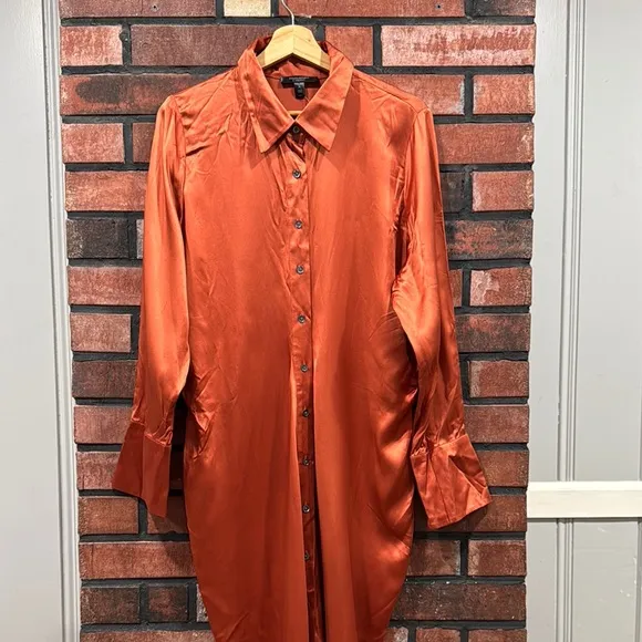 Banana Republic ENCHANT SILK SHIRTDRESS