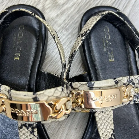 Coach Gracie Sandals Blue Snakeskin Black Hardware