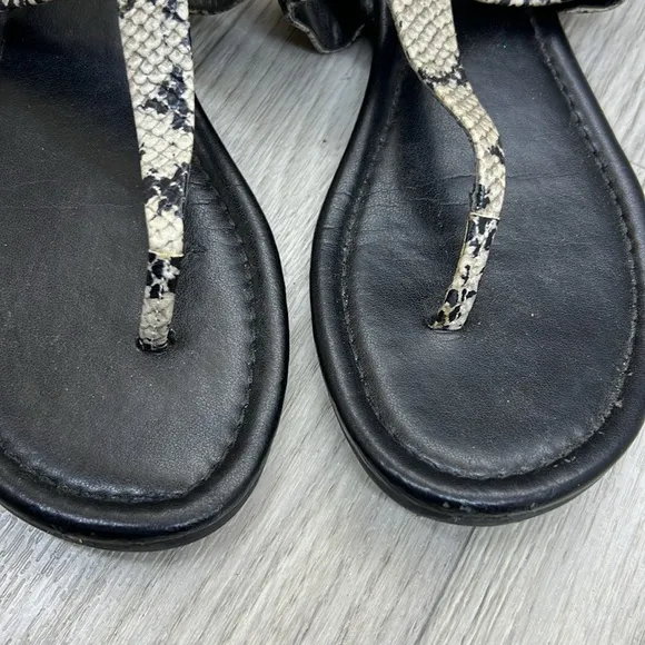 Coach Gracie Sandals Blue Snakeskin Black Hardware