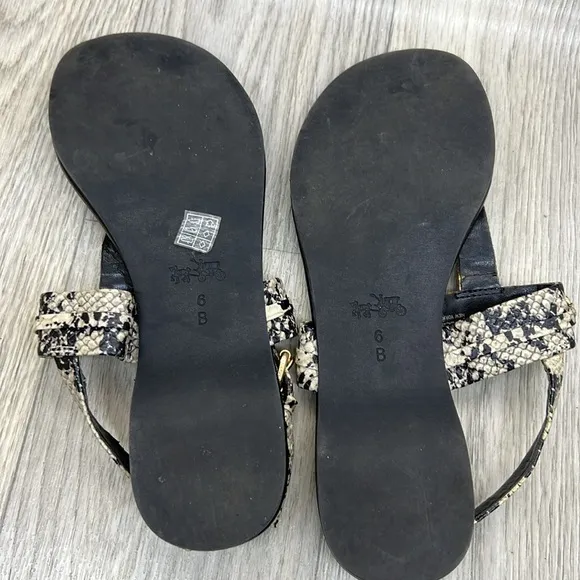 Coach Gracie Sandals Blue Snakeskin Black Hardware