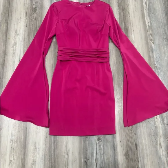 Elegant Pink Cape Sleeve Dress NWT