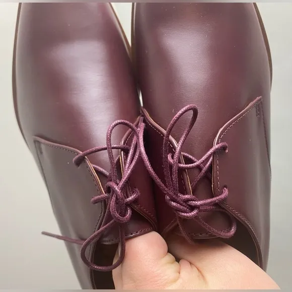 EVERLANE The Modern Oxford shoes size 6