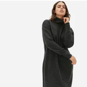Everlane Women's Charcoal Turtleneck Sweater Dress, Size Medium, Charcoal Grey
