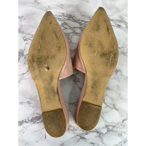 Everlane Womens The Modern Leather Pointy Flat Pink sz 10.5