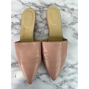 Everlane Womens The Modern Leather Pointy Flat Pink sz 10.5