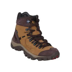 FIDDLEWOOD – GB 2348116