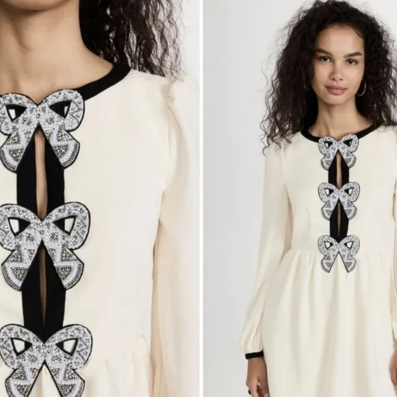 Gorgeous Classic Saloni Dress Size 10