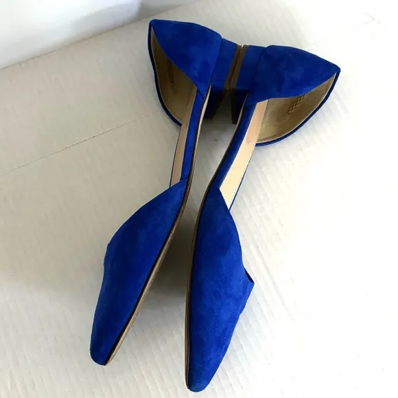 J. Crew Blue Suede Leather Flats Pointy‎ Toe Classic Shoes Women’s Size 9