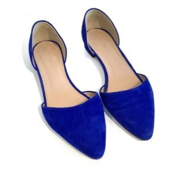 J. Crew Blue Suede Leather Flats Pointy‎ Toe Classic Shoes Women’s Size 9