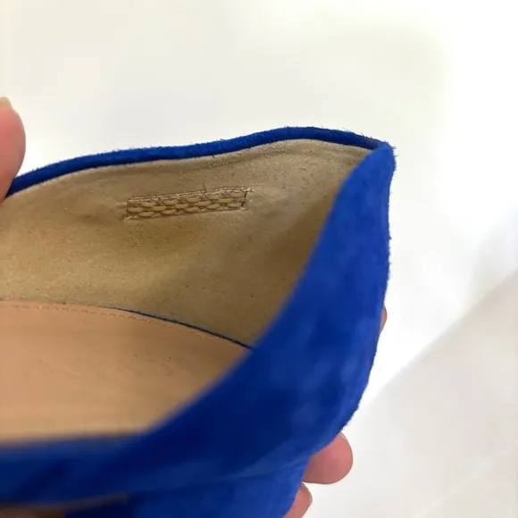 J. Crew Blue Suede Leather Flats Pointy‎ Toe Classic Shoes Women’s Size 9
