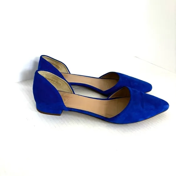 J. Crew Blue Suede Leather Flats Pointy‎ Toe Classic Shoes Women’s Size 9