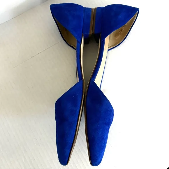J. Crew Blue Suede Leather Flats Pointy‎ Toe Classic Shoes Women’s Size 9