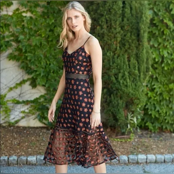 Jack by BB Dakota Magic Hour Dress Embroidered Floral Evening Cocktail Modern