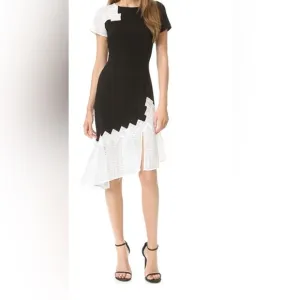 JONATHAN SIMKHAI Black &amp; White Crepe Dress