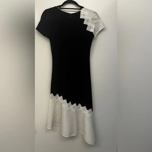 JONATHAN SIMKHAI Black &amp; White Crepe Dress
