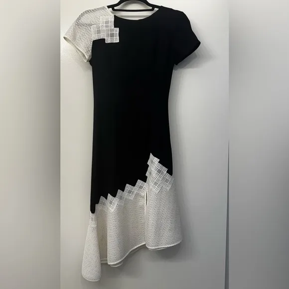JONATHAN SIMKHAI Black &amp; White Crepe Dress