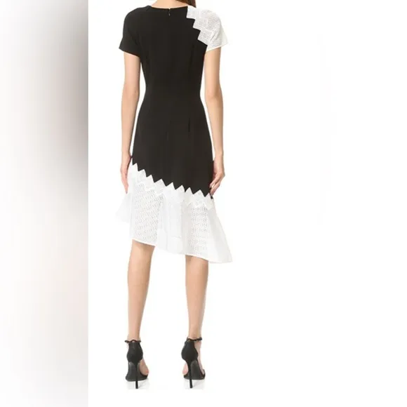 JONATHAN SIMKHAI Black &amp; White Crepe Dress