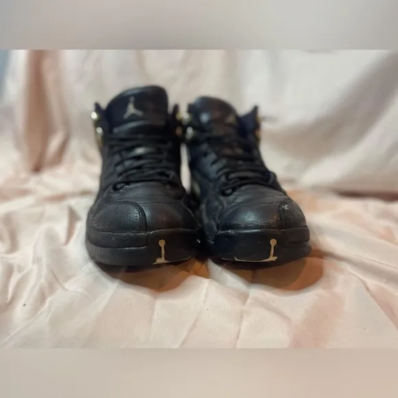 Jordan 12 Retro The Master 2016 size 10