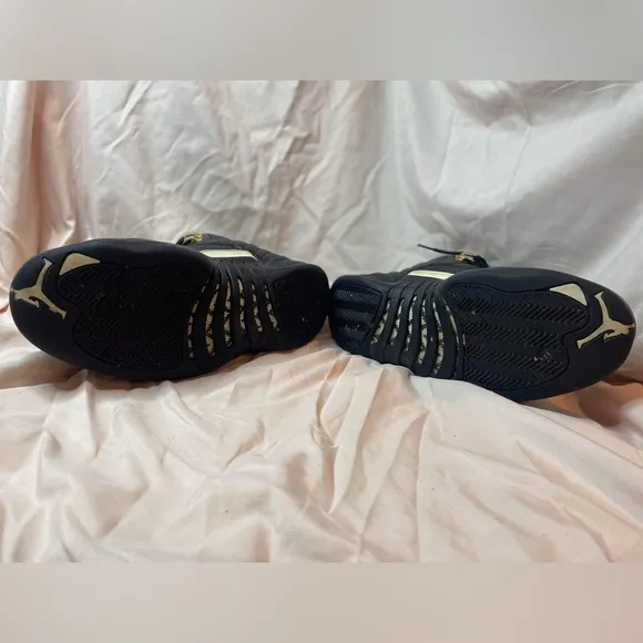 Jordan 12 Retro The Master 2016 size 10