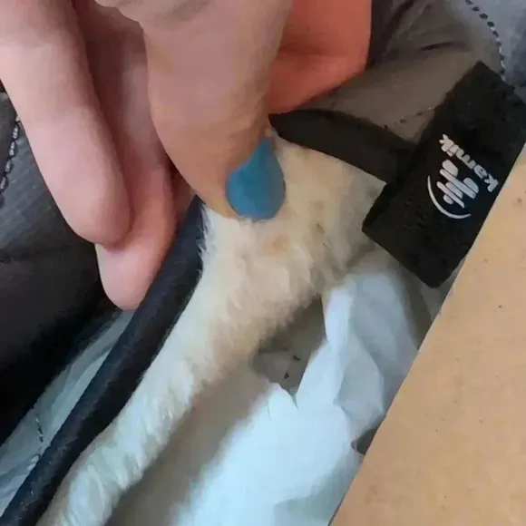 KAMIK MEN'S SLIPPERS PUFFY