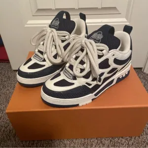Louis Vuitton Blue and White Chunky Sneakers