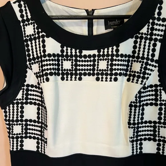 Lovely Laundry Dress with Black Detail