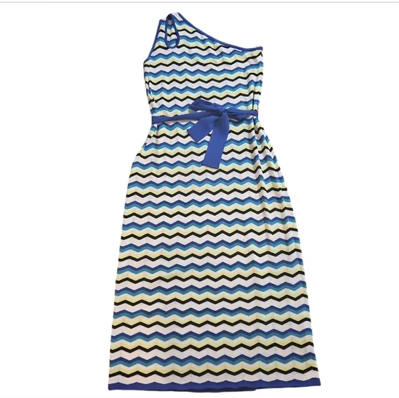 Ming Wang Modern Fit One-Shoulder Column Chevron Soft Knit Maxi Dress