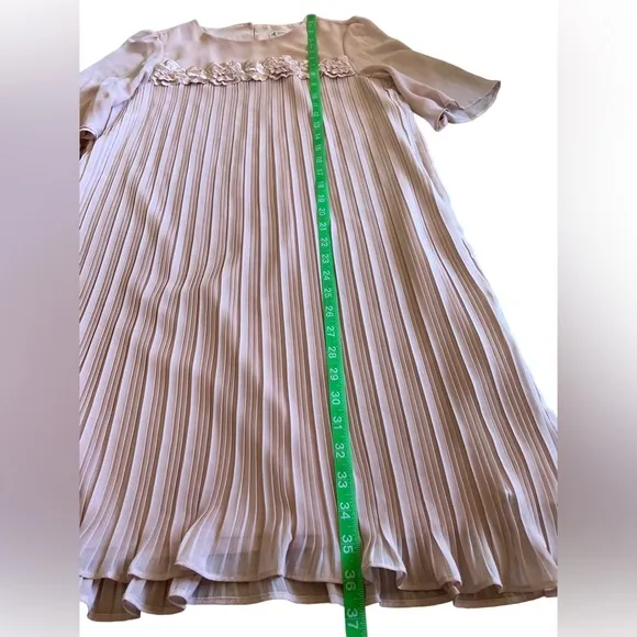 NANETTE LEPORE Pleated Chiffon Dress Size 4 Embroidered Flowers Romantic Pink