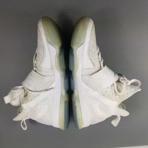 Nike LeBron 14 Time To Shine Sneakers