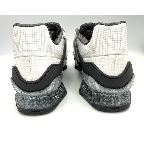 Nike Romaleos 4 SE Weightlifting Mens Wolf Gray Gym Olympic Size 11