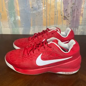 Nike Zoom Cage 2 Dragon Tennis Pickleball shoes 705247-610 Red  Mens 10