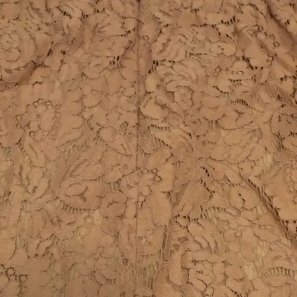 NWOT Beautiful Blush Nude Lace Double lined Jenny Yoo Skirt size 8