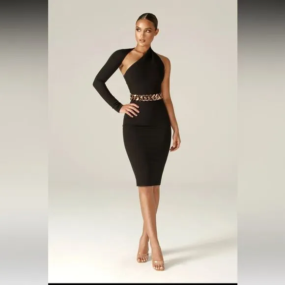 NWT ALIEVA DASHA MODERN MIDI DRESS sz M