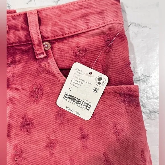 NWT Free People Mixed Emotions High Rise Short in Dragonfruit Sorbet