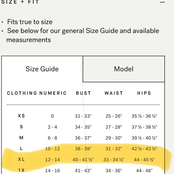 NWT Modern Citizen Alessandra Sculpted Cinched-Waist Dress