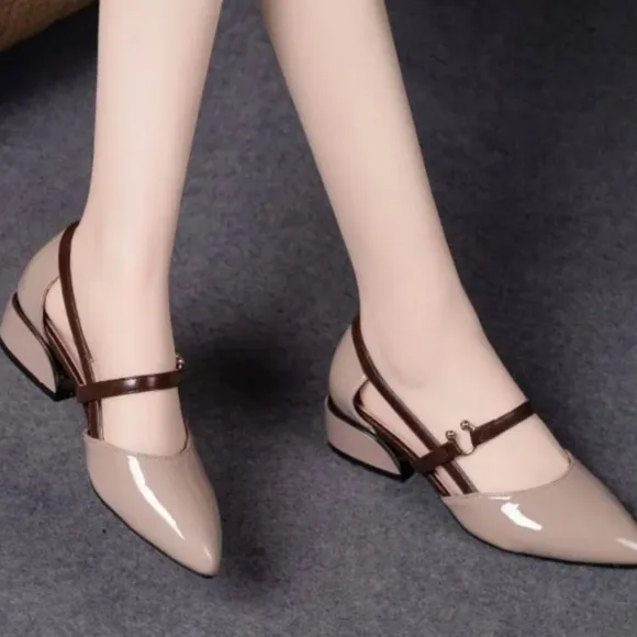 Point Toe Block Heels Pumps