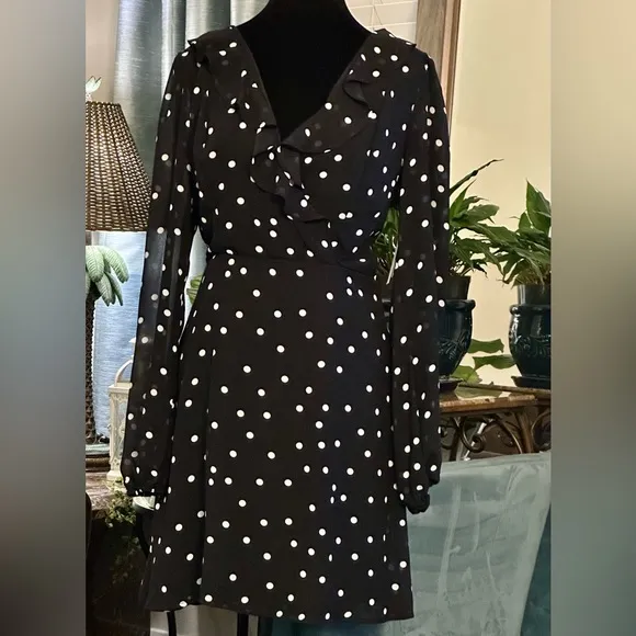 Row A Nordstrom Brand Polka Dot Ruffle Mini Dress w/long sheer sleeves- Classic