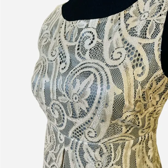 Tibi Lace Dress Size 4 Sleeveless Bronze Semi-Formal Party Mini in Classic Cut
