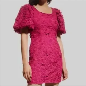 Zac Posen Elegant Pink Lace Dress size 8 NWT