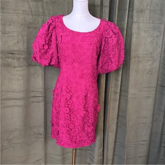 Zac Posen Elegant Pink Lace Dress size 8 NWT