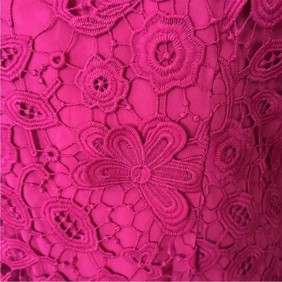 Zac Posen Elegant Pink Lace Dress size 8 NWT