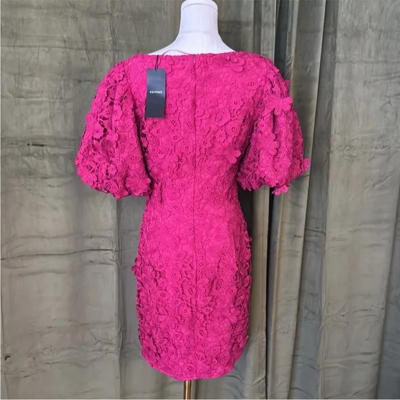 Zac Posen Elegant Pink Lace Dress size 8 NWT