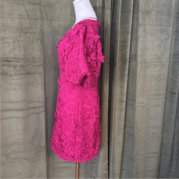 Zac Posen Elegant Pink Lace Dress size 8 NWT