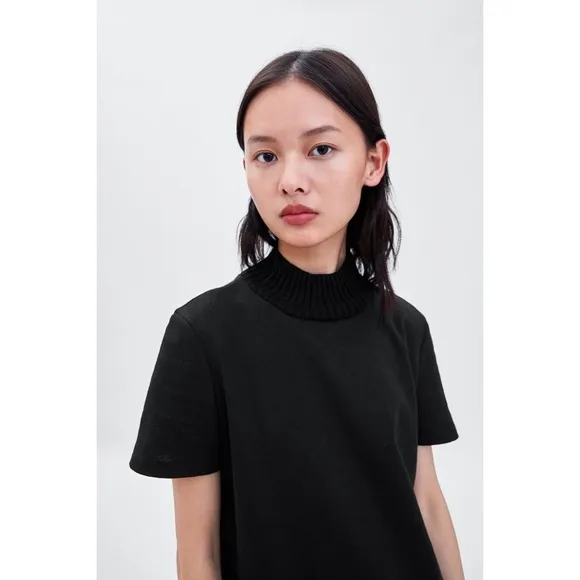 [Zara] Classic Black Turtleneck Dress